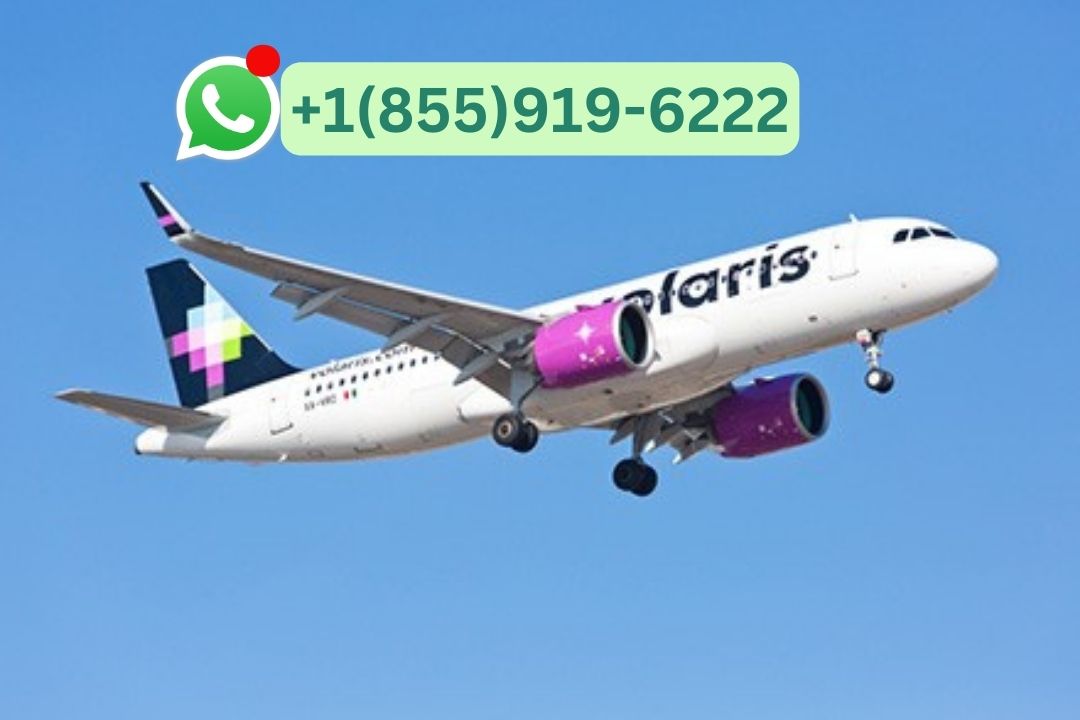 How Do I Contact Volaris Airlines Customer Service By Whatsapp Chat?